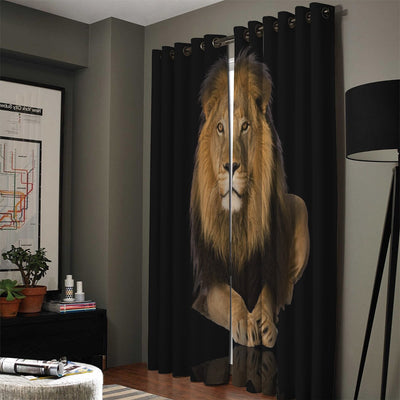 curtain lion on black background