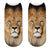 sock with dazzled lion head on dirty background
