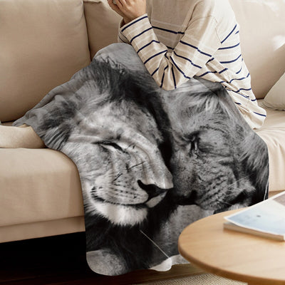 blanket lion love relationship