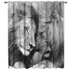 curtain lion couple wild black and white