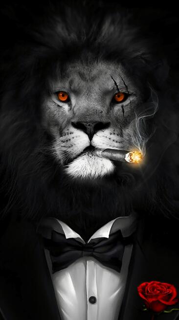 wall art lion smoking a cigar with a rose in his pocket