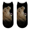 sock black showing a yawning lion