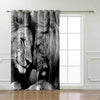 curtain lion couple wild black and white