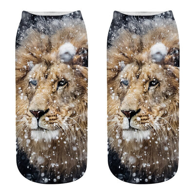 sock lion under the snow with black and blue eyes