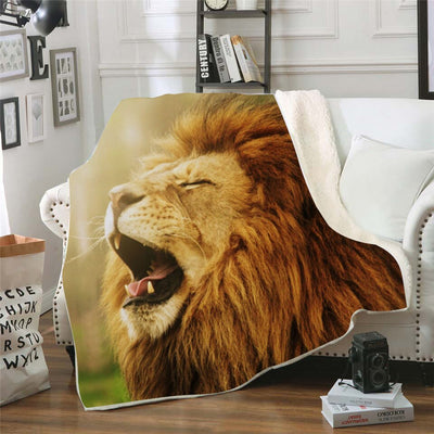 Blanket Lion Wild Admiration
