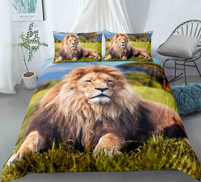 bedding lion wild sunbathing