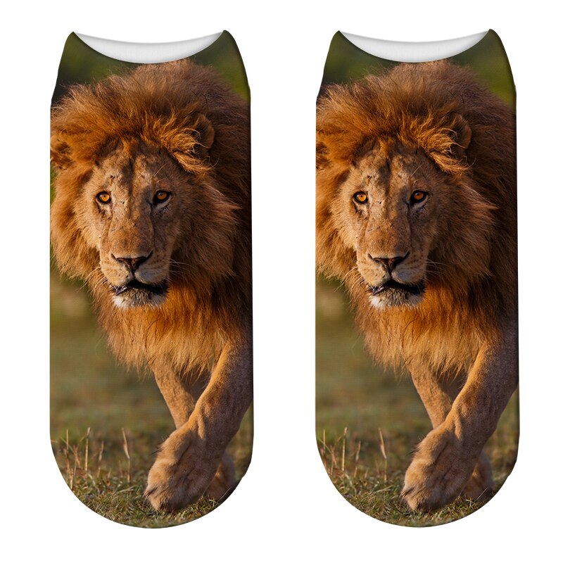 sock lion walking with a sad look
