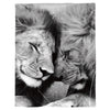 blanket lion love relationship