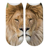 Sock lion head divided in two