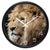clock head of wild lion black frame