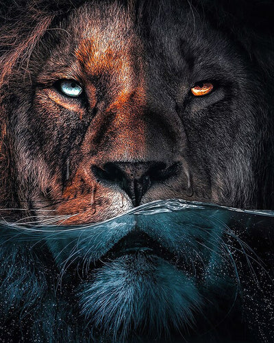 wall art lion submerged in water