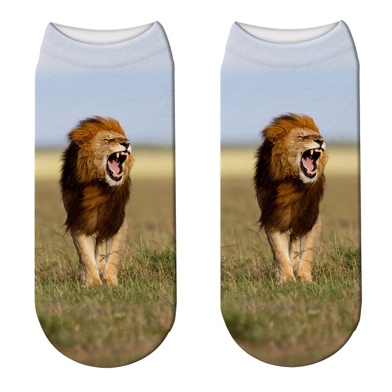 Sock lion walking graceful