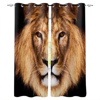 curtain lion of warm color