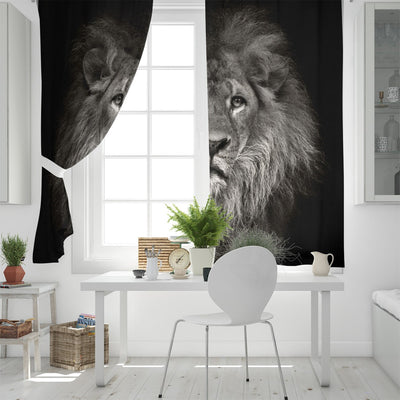 curtain lion king of the animals