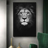 wall art lion grey on a dark background