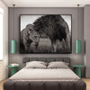 wall art lion wild affection in grey